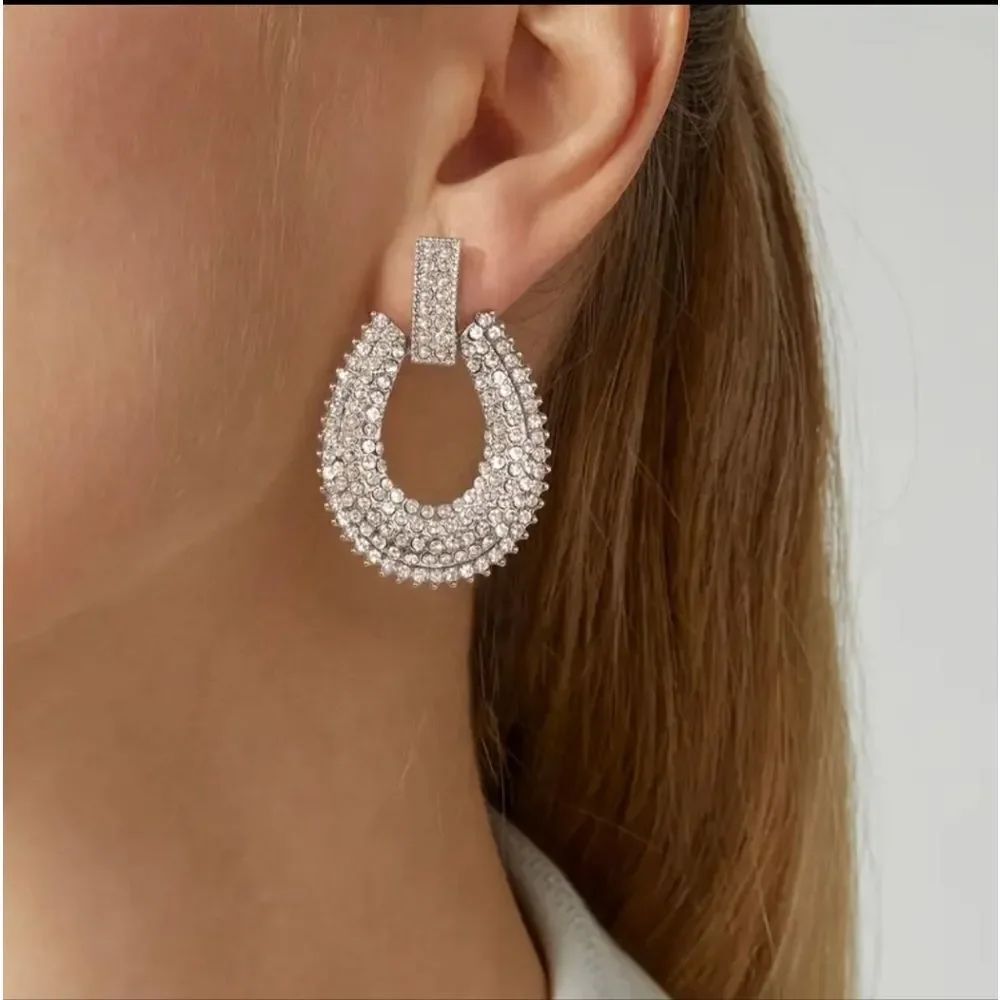 Silver Plated Rhinestone Horse Shoe Dangle Earrings